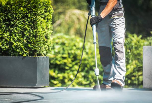 Best Driveway Pressure Washing  in Ocean Gate, NJ